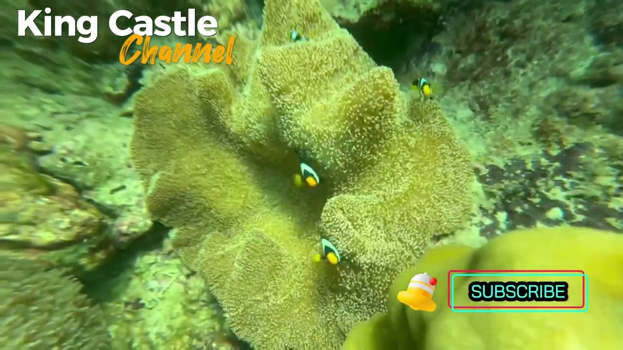 Snorkling Koh Lanta Andaman sea