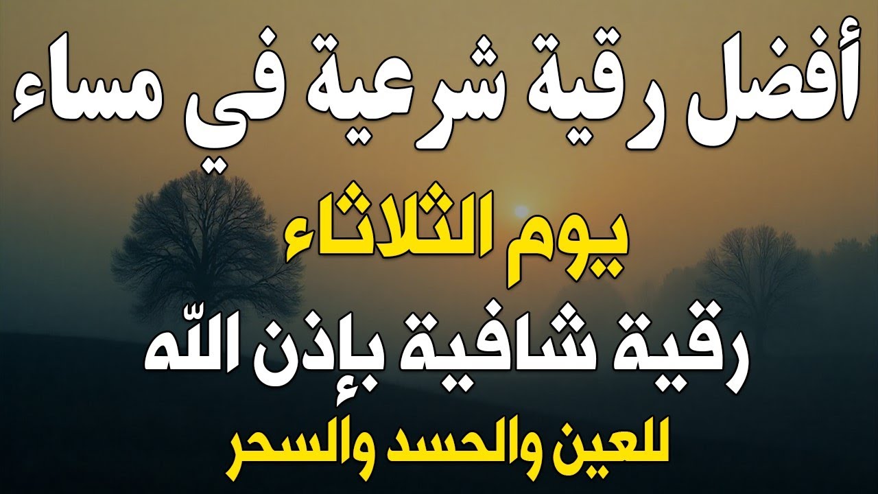 أفضل رقية شرعية في مساء يوم الثلاثاء علاج الحسد_السحر_العين _حفظ وتحصين للمنزل _القارئ علاء عقل