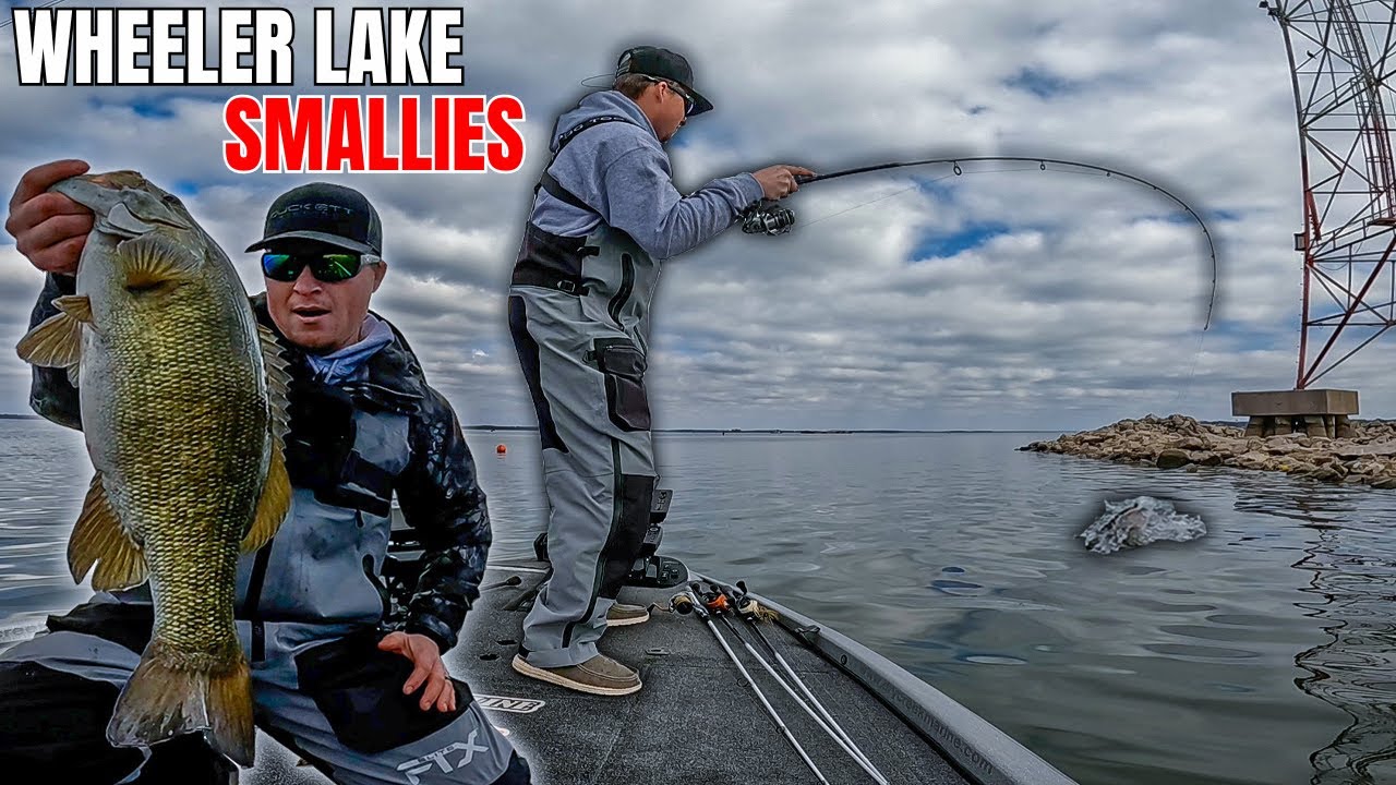 I Caught My BIGGEST Smallmouth EVER! (Wheeler Lake)