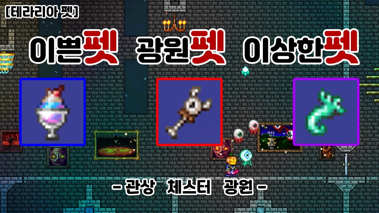 [테라리아 공략] 오늘은 내가 테라리아 브리더~*  테라리아 펫들을 알아보자!