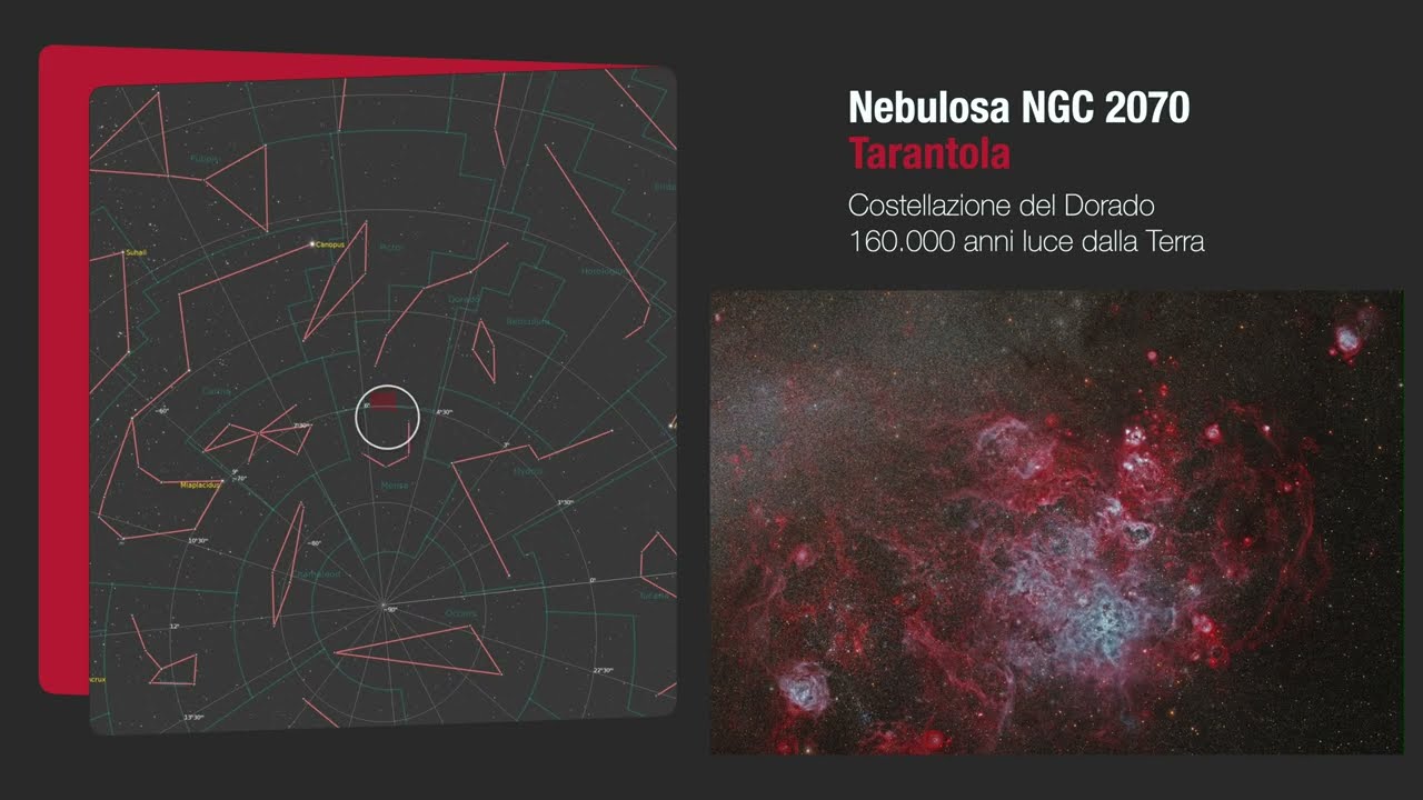 Namibia - Tivoli Astrofarm