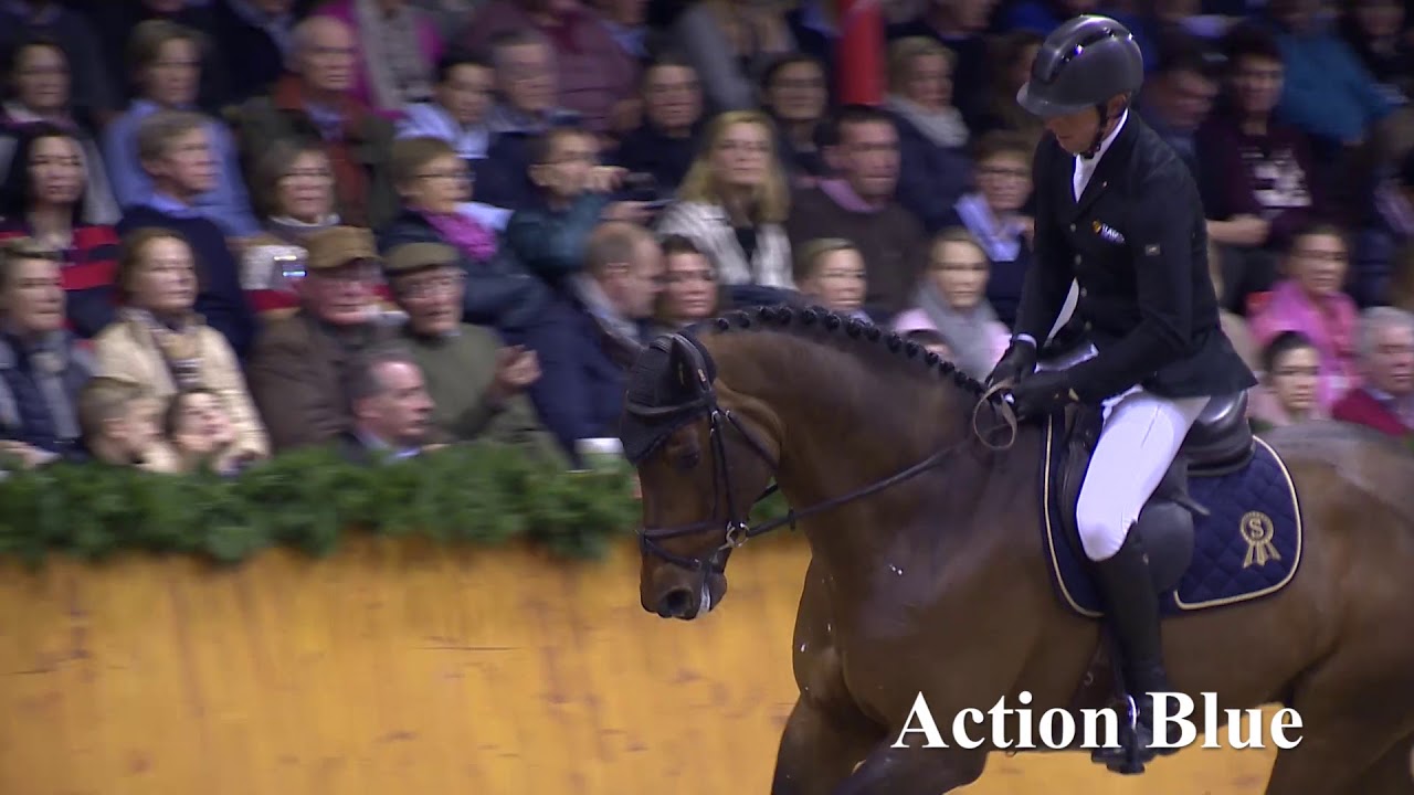 Action Blue Hengstkollektion Englisch 2019
