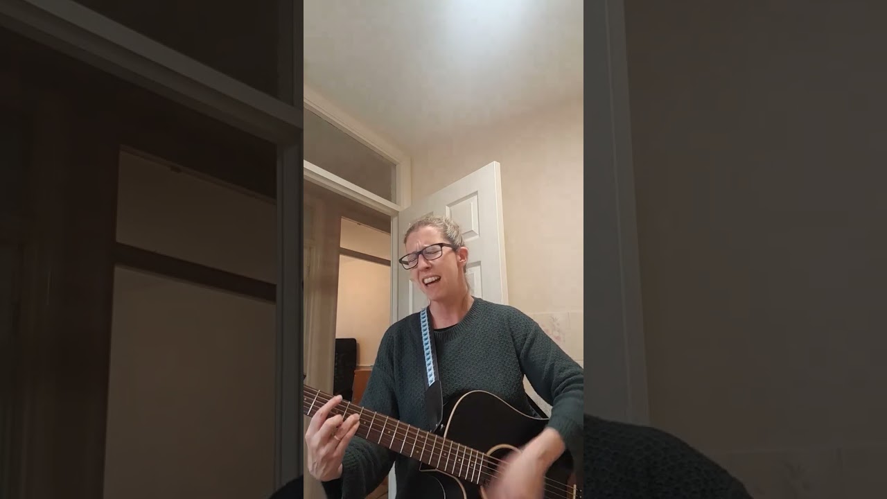 Pretty Boy - High flying birds cover
