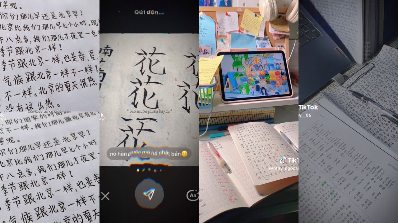 [Tiktok] - Study account - Động lực học tiếng Trung mỗi ngày #29 [Han0305]