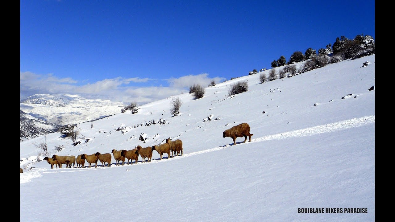 Morocco land of snow - Maroc neige  - المغرب أرض الثلوج