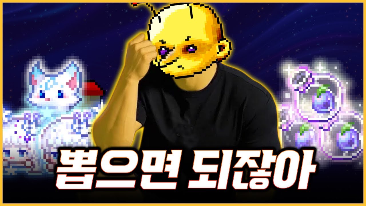 자석펫이 비싸다고요? 해결법 알려드립니다 [제로 육성기 EP.2]