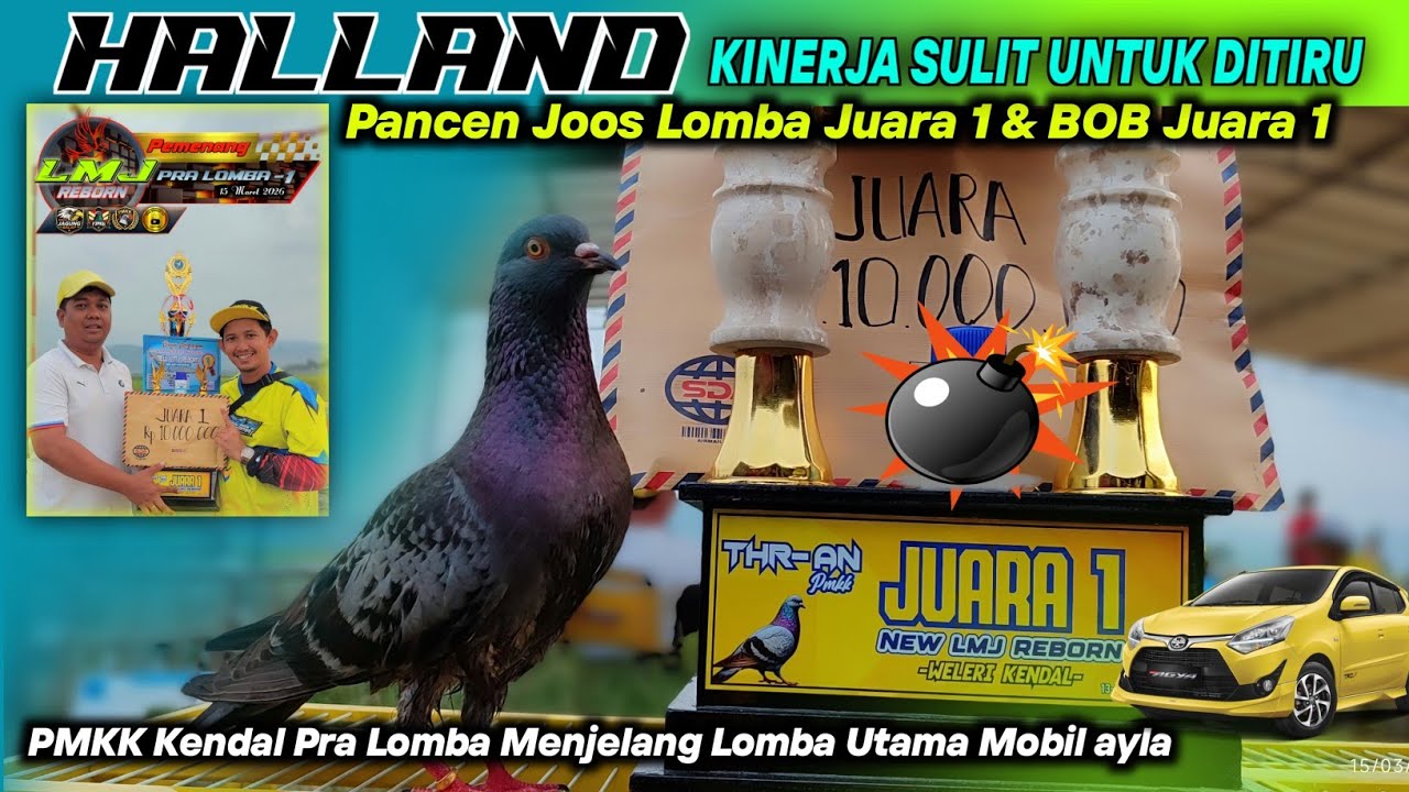 FINAL‼️HALLAND SAK JOSE LAGI² JUARA PRA LOMBA MENJELANG EVEN MOBIL NEW AYLA LAPKOL LMJ REBORN PMKK