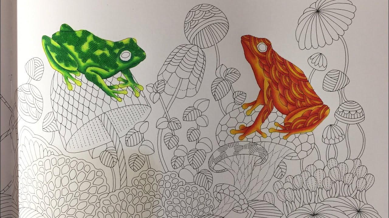 Millie Marotta Wildlife Wonders Frogs and Shrooms Colour Along  -  Part 1!