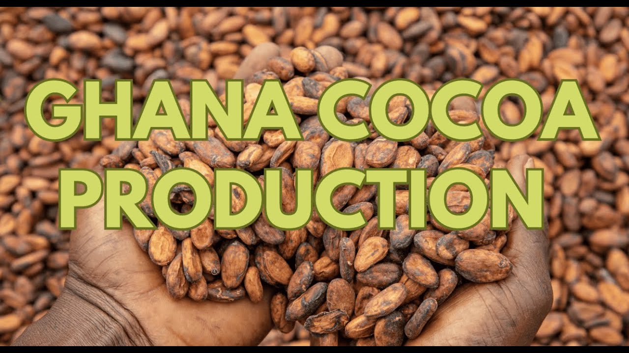 Ghana's cocoa farmers boosting production for new season