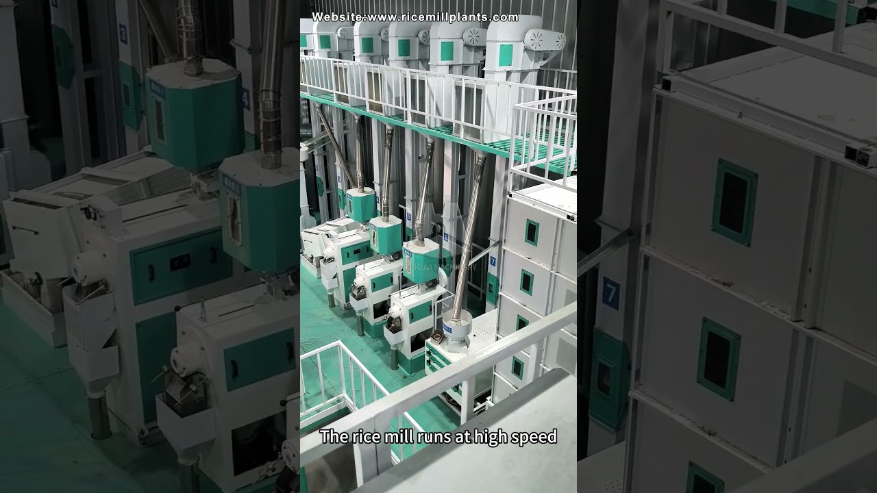 40T/D Rice Mill Plant in Action | Top-Quality Rice Processing Machines by Co-Grain Machinery