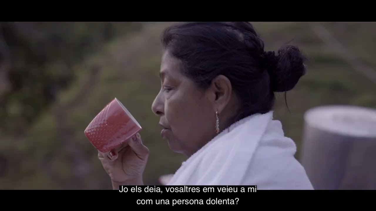 Tráiler La Casa del Tro- CAT