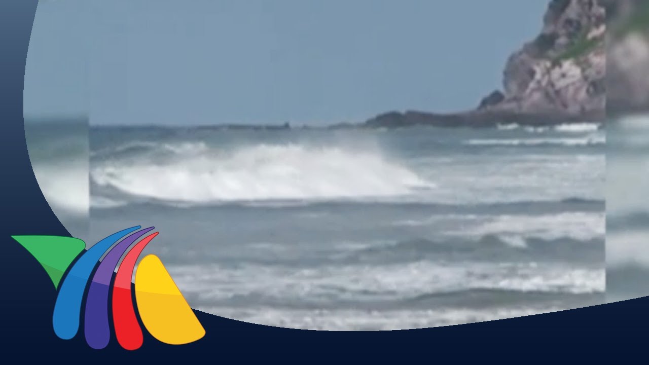 Cocodrilo pone en alerta a playas de Mazatlán