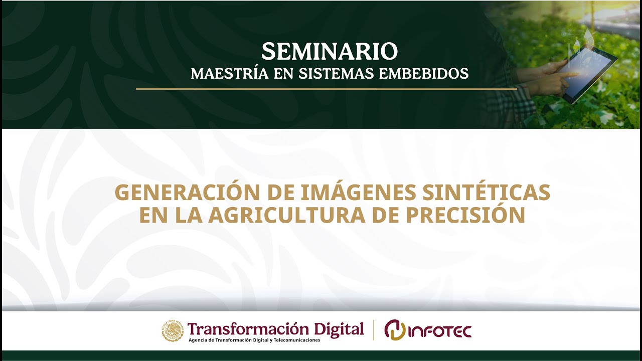 Seminario MSE: 