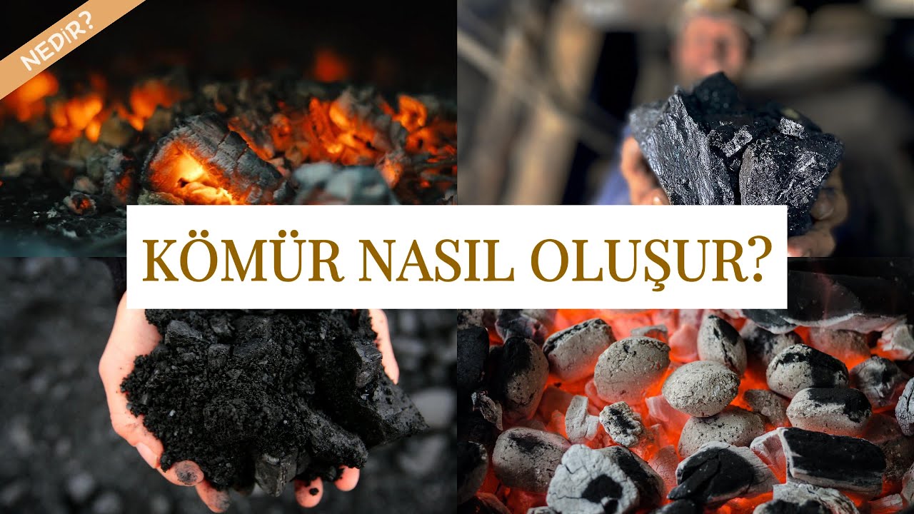 Kömür Nedir? | Kömür Nasıl Oluşur?