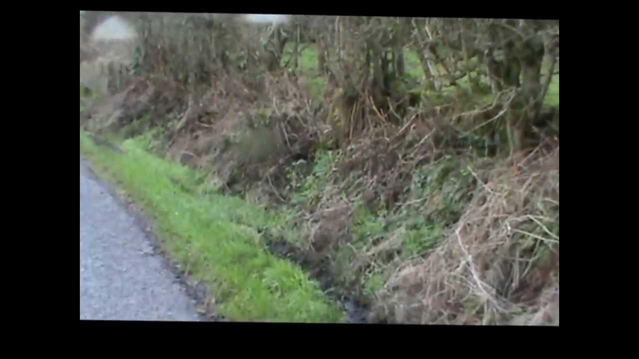 Drummore Kart Race 2013 (the full version)