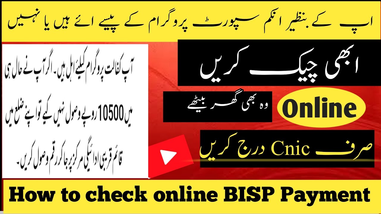8171 online payment check 2024 ||How to check bisp payment online by cninc2024 || Ehsas Program10500