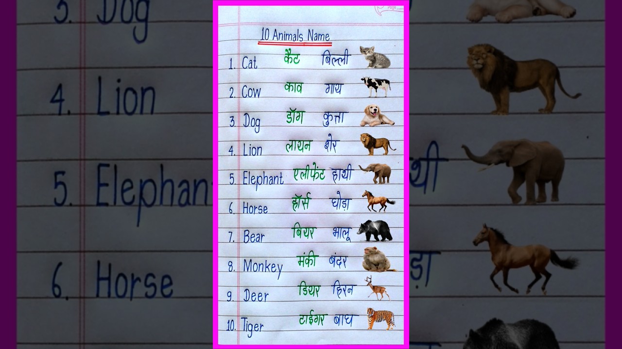 10 Animals Name in English and Hindi // Janvaron ke naam ke naam// जानवरों के नाम// #mumma #shorts