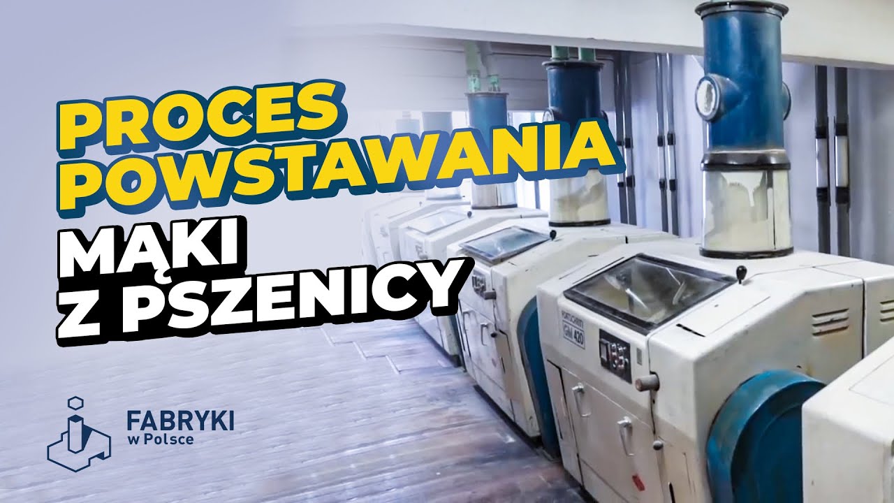 Jak Powstaje MĄKA? - Fabryki w Polsce
