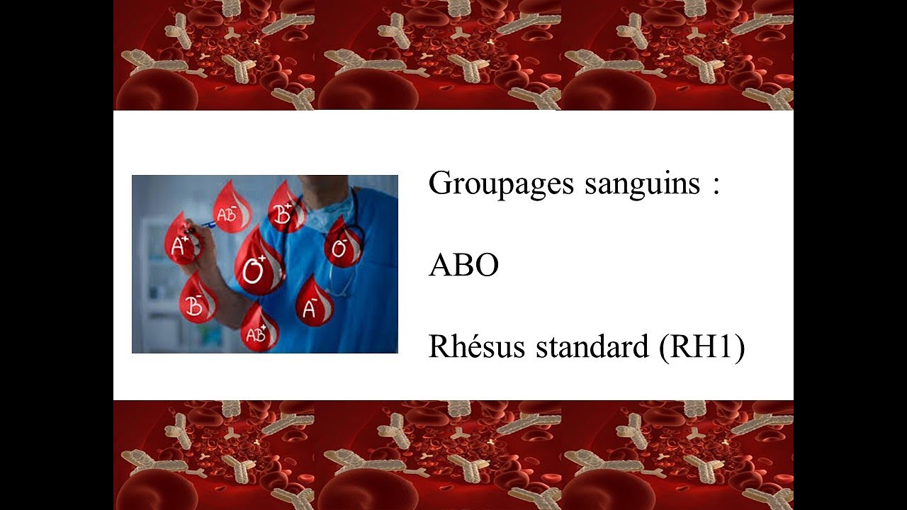 Détermination des groupes sanguins ABO et Rhésus