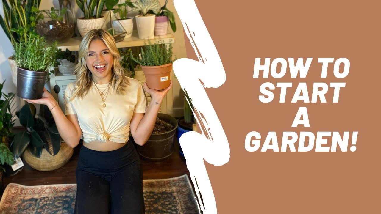 How to Start a Garden