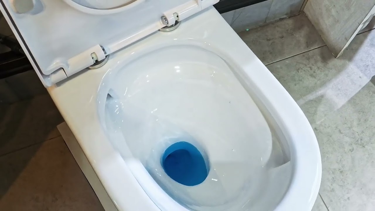 產品開箱系列 [古sir秘笈] 開箱介紹 U-SEAT6580 雙漩渦自由咀坐廁 | 沖水測試