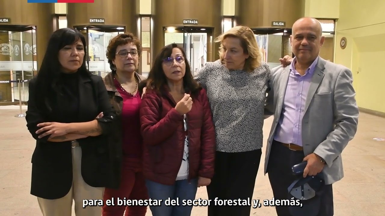 Congreso despachó ley que crea el nuevo Servicio Nacional Forestal