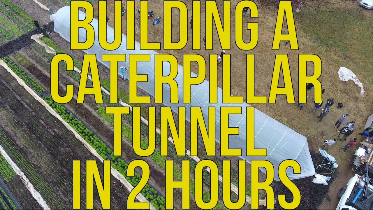 Unbelievable Greenhouse Speed: The Quickest Build I've Ever Witnessed!