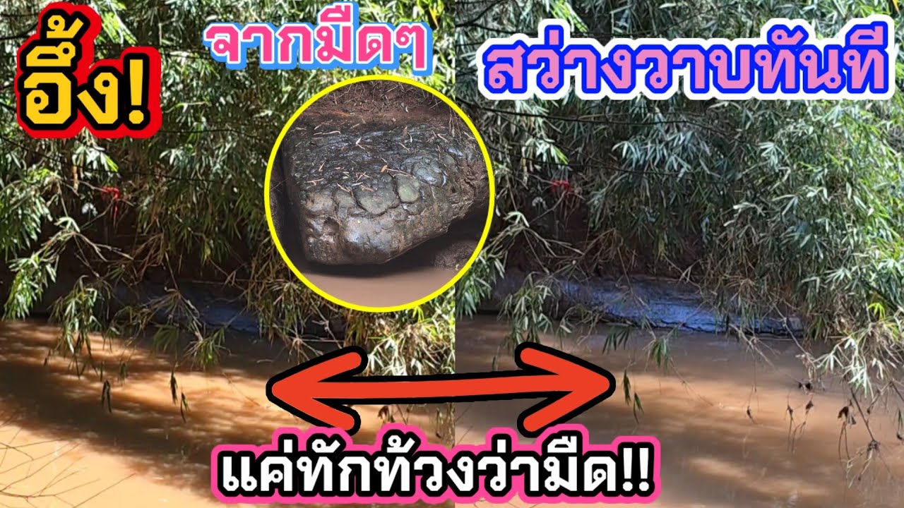 ขนลุกจากมืดๆก็สว่างวาบเลย​‼️พญาเข็ก อยากให้เห็น❓#ท่านหินงูยักษ์ #พญาเข็กหิรัญธาตุนาคราชราชา 