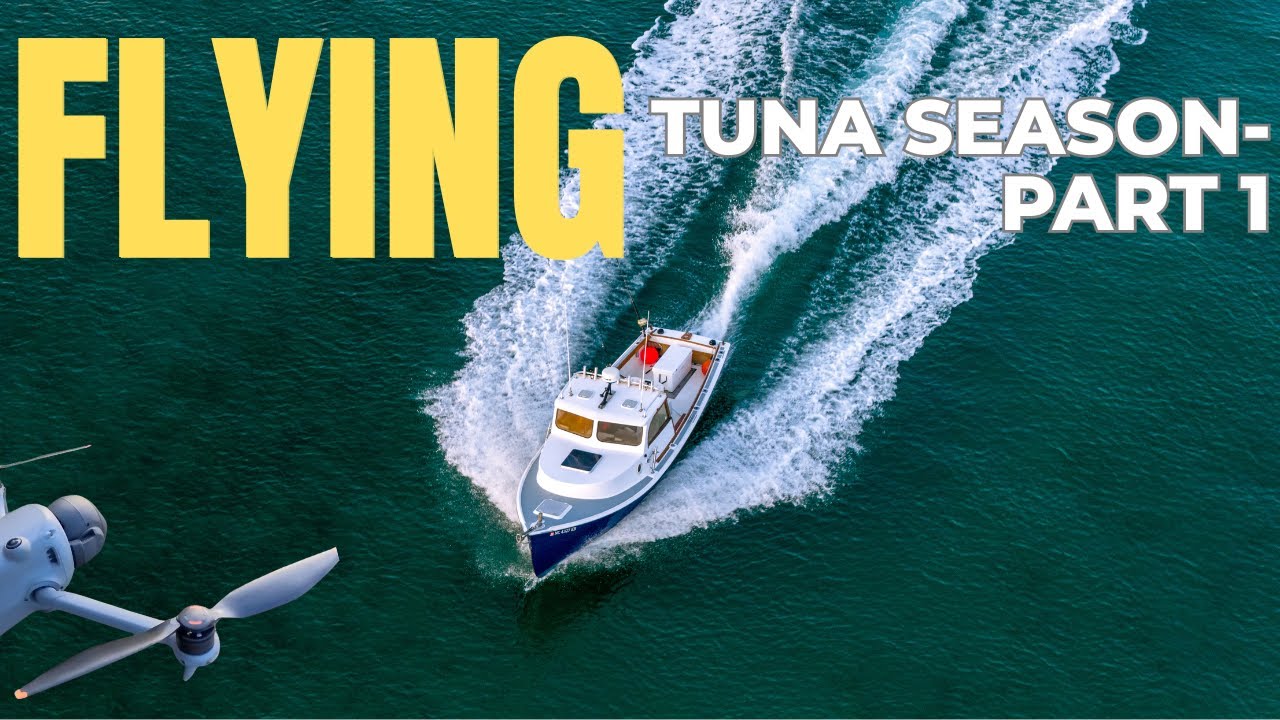 Flying Tuna Season - Part 1