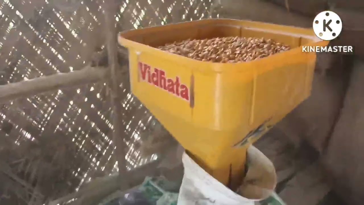 pig feed making machine #subba_pig_farm