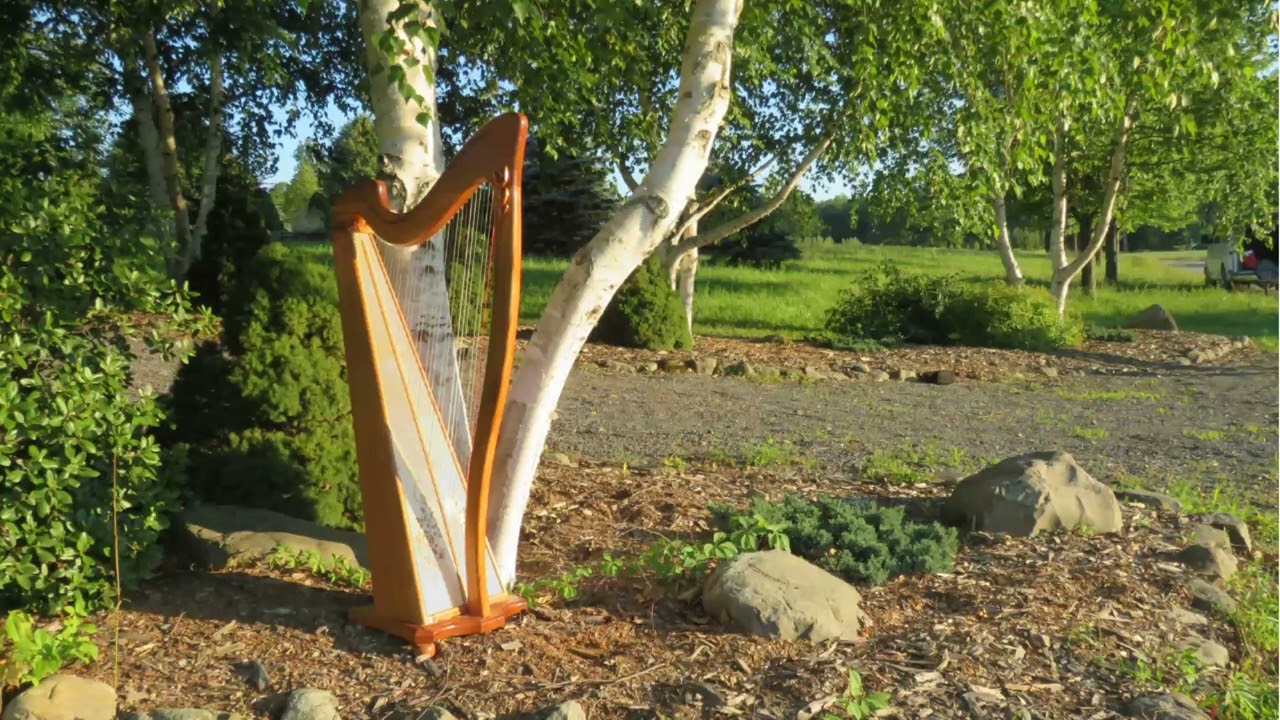 Alle Birken -- Harp Instrumental Deutsche Volkslieder