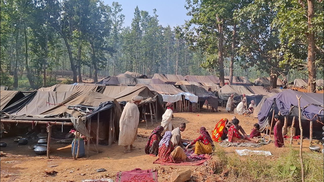 The Last Nomad in Nepal । Nepal's LAST Nomad : Raute Tribe । Nepal's a unique nomadic community