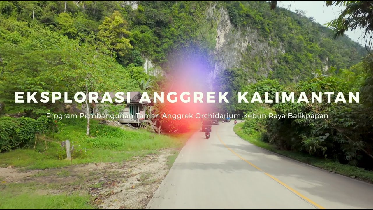 Documentary Film : Ekplorasi Anggrek Kalimantan