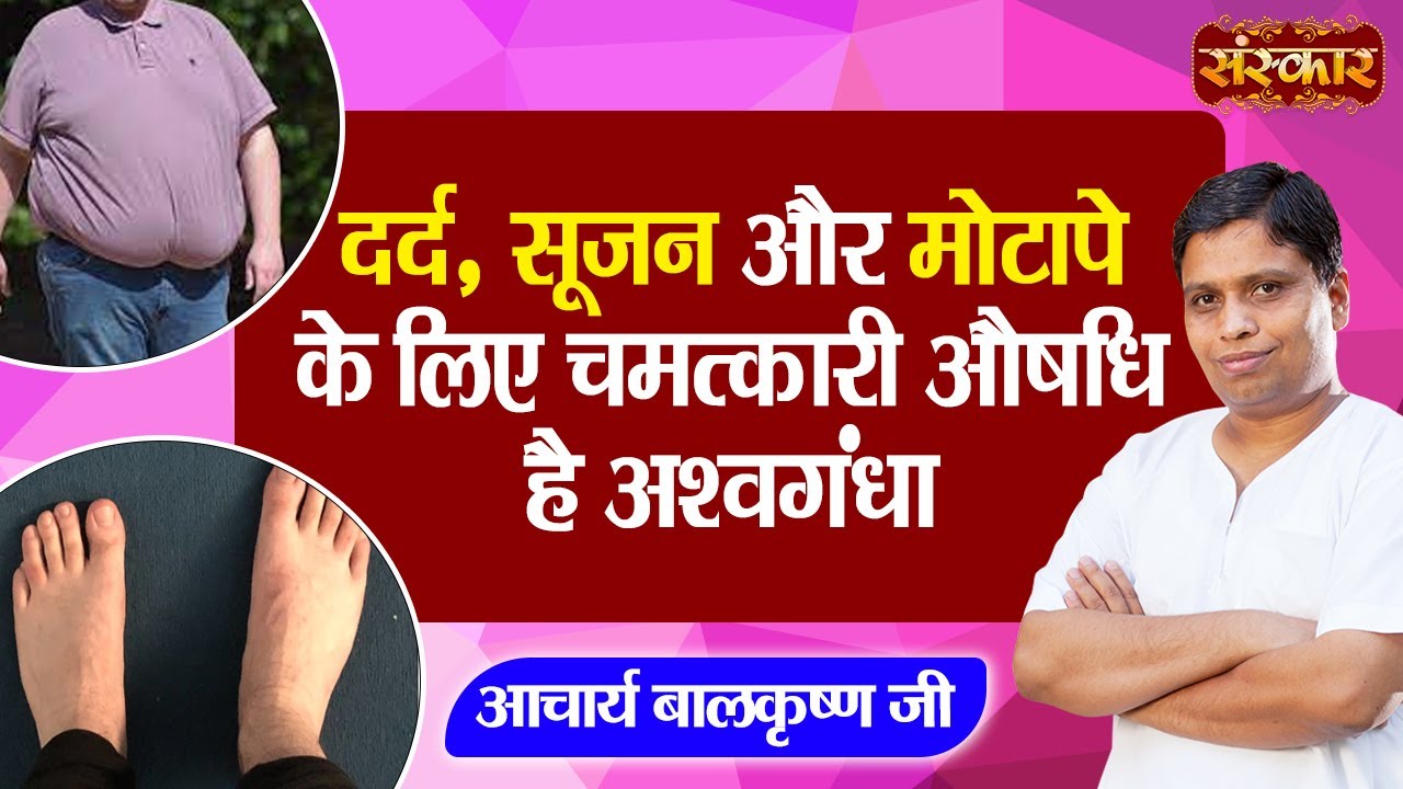 दर्द, सूजन और मोटापे के लिए चमत्कारी औषधि है अश्वगंधा | Ashwagandha For Obesity~Acharya BalkrishnaJi