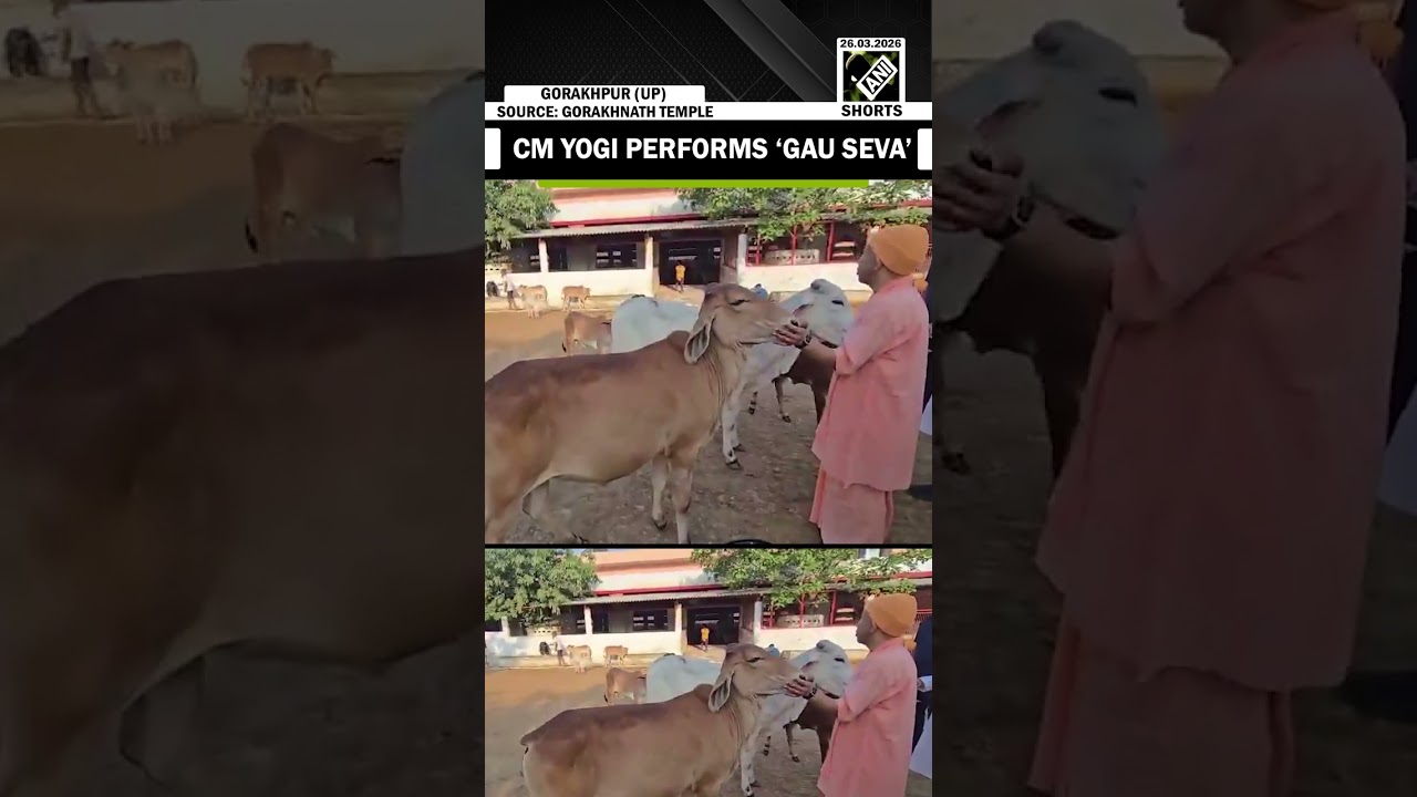 UP CM Yogi Adityanath performs &lsquo;gau seva&rsquo; at Gorakhnath Temple gaushala