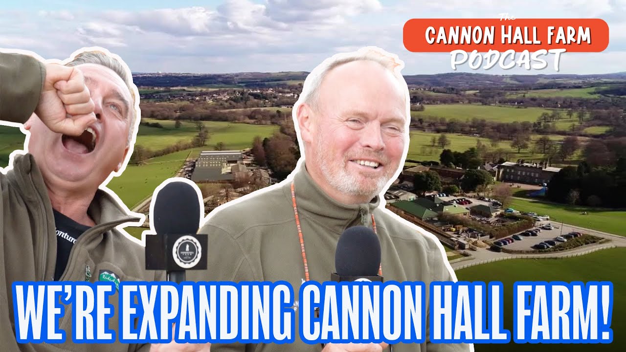 Мы РАСШИРЯЕМ ферму Cannon Hall!