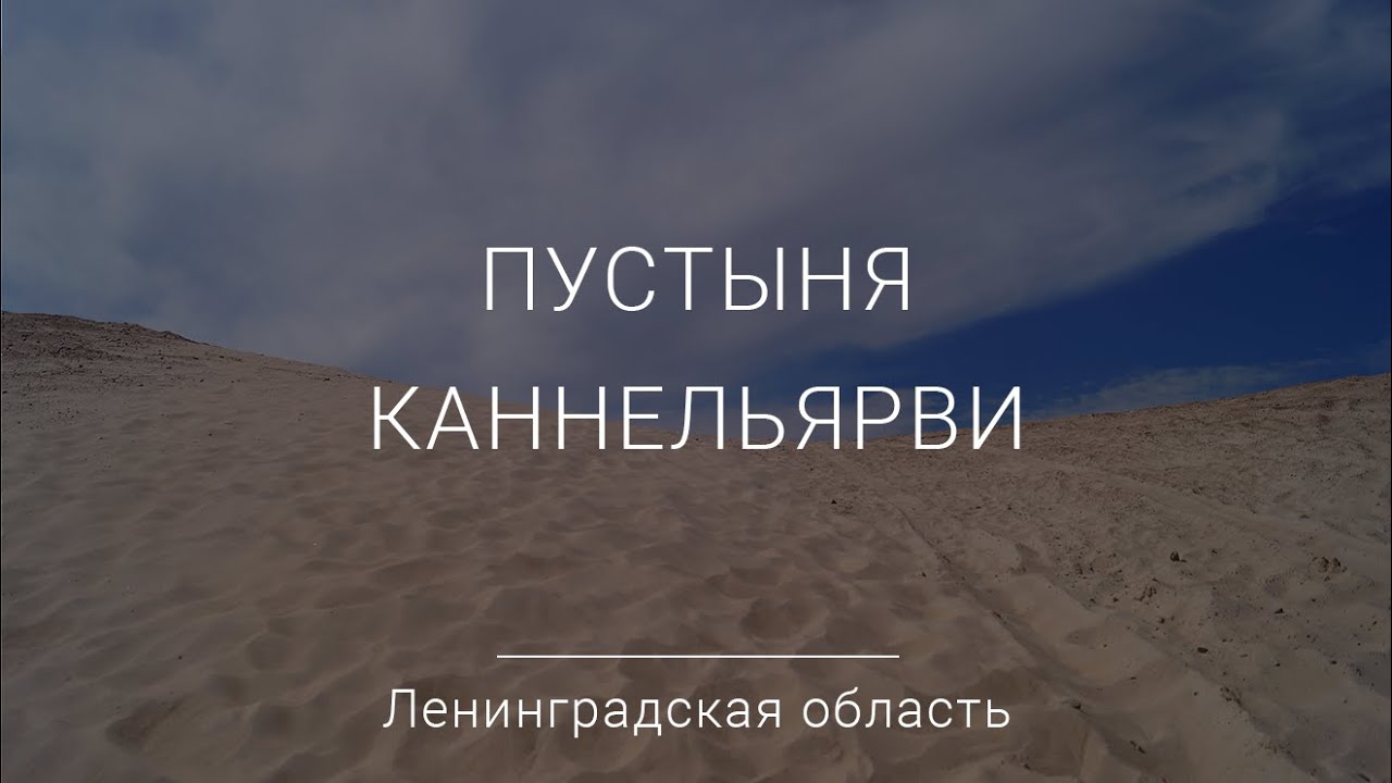 Пустыня Каннельярви | Ленинградская область | Путешествия по России | Travel in Russia | Droneflight