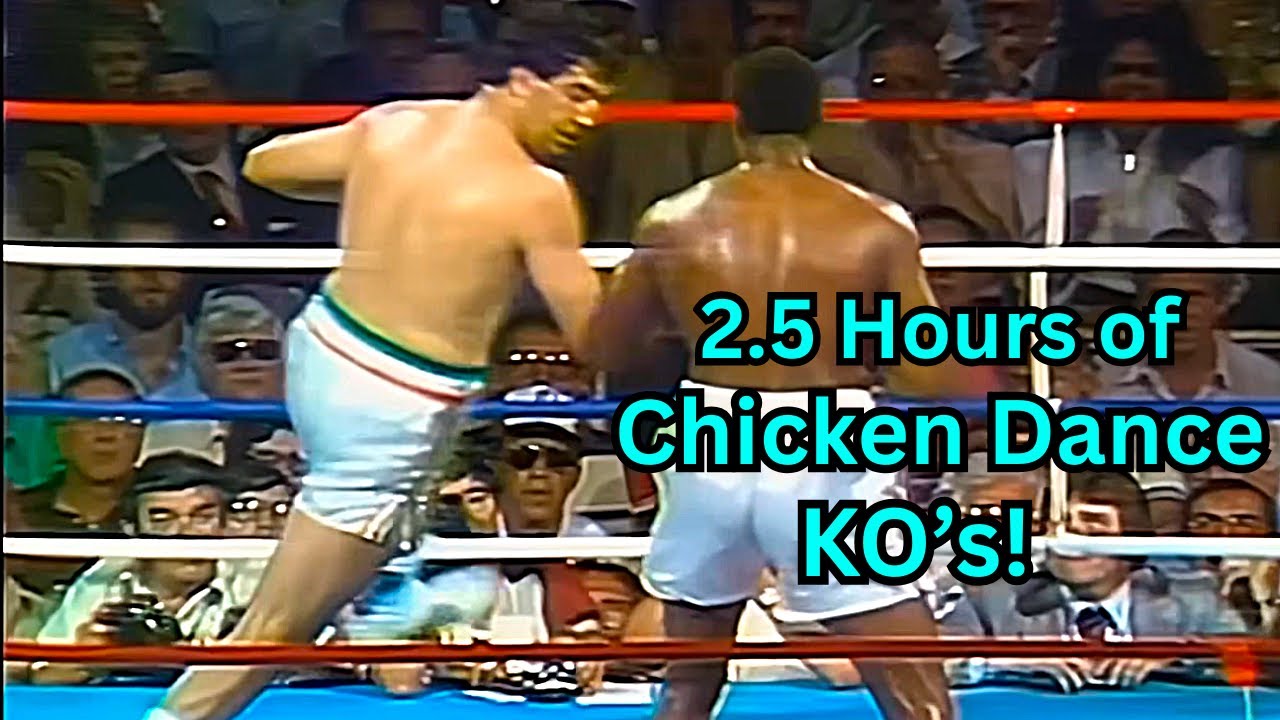 2.5 Hours Of Funky Chicken Dance Knockouts In Boxing!!