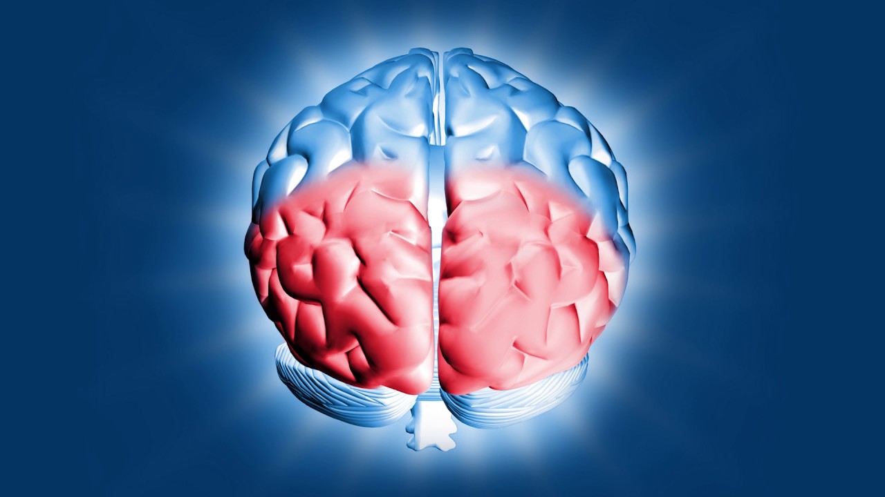 4- La multitarea musical. Cambios cerebrales debidos a la práctica.