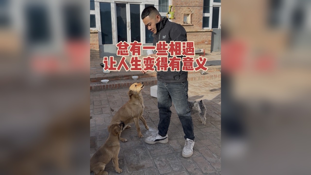 总有一些相遇，让人生觉得更有意义……