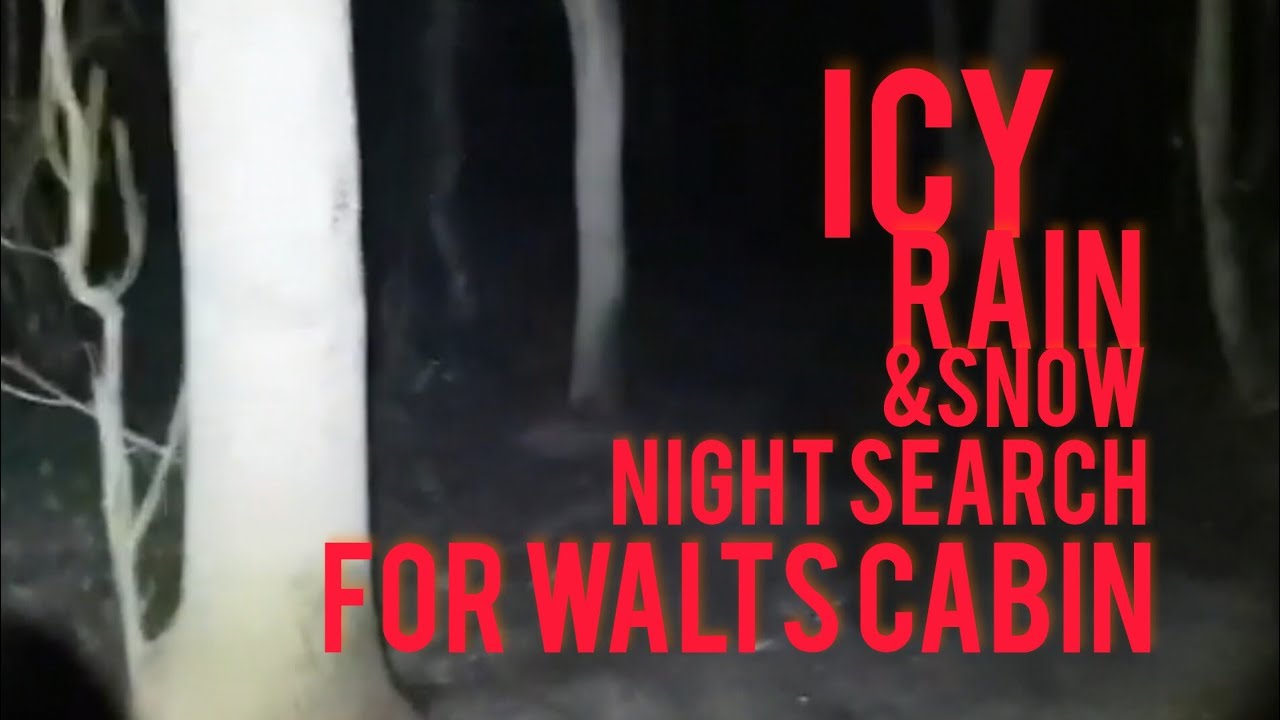 Forest Cabin Night Search #outdoors #outdooractivity #explore #funny #yorkshiredales 