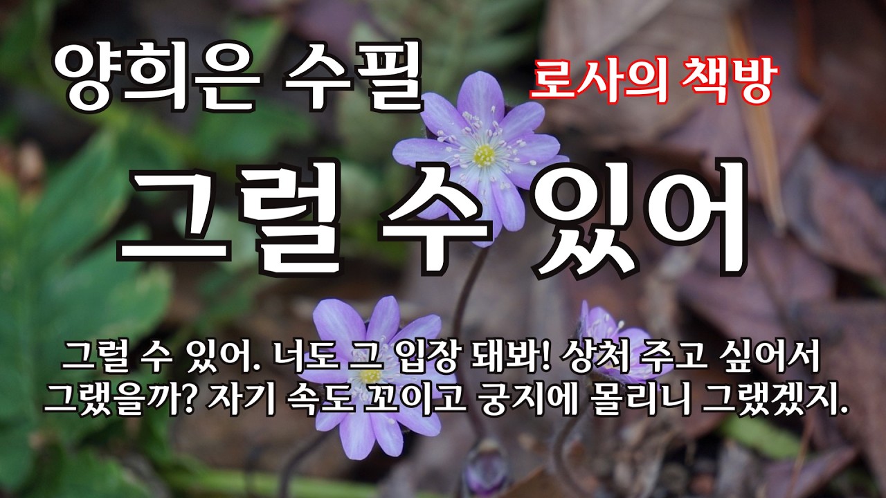 [양희은 수필/그럴 수 있어/석 잔에 담긴 인생의 진리/혼자 떠나는 여행이 필요해]그럴 수 있어. 너도 그 입장 돼봐! 상처 주고 싶어서 그랬을까?