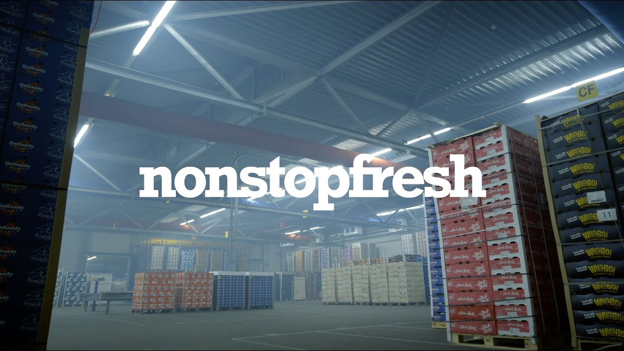 AARTSENFRUIT | Nonstopfresh Recruitment