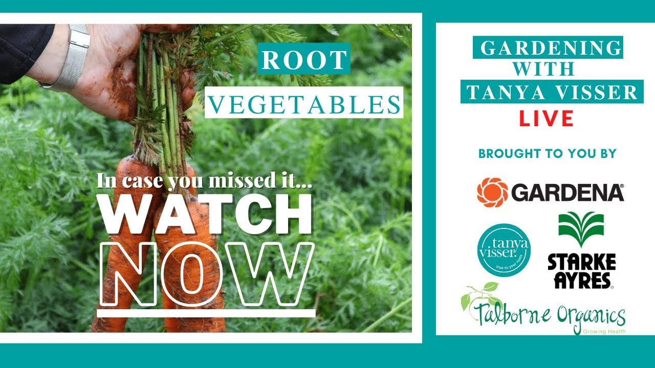 Root Vegetables Masterclass with Tanya Visser