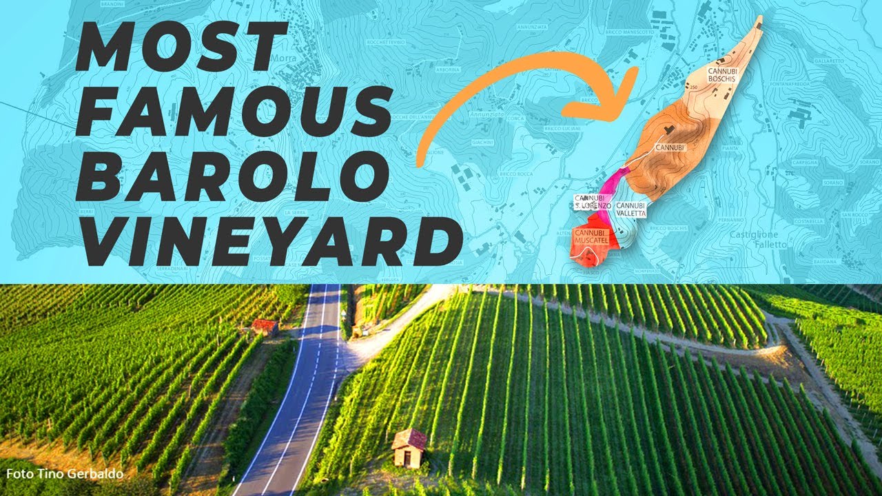Barolo Cru | Cannubi