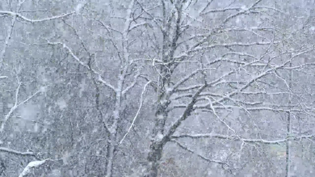 Зимняя соната | Qish sonatsi