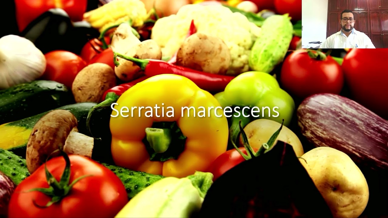 10  Infecciones Bacterianas en Poblaciones Especiales
