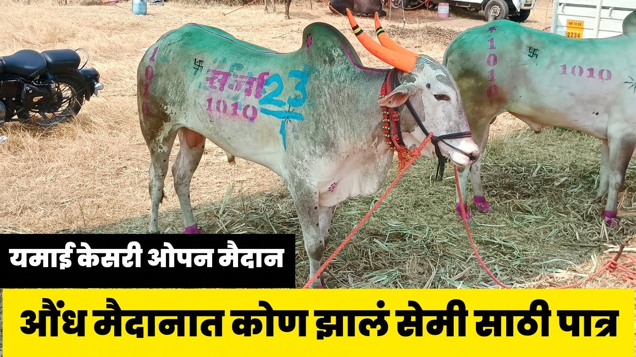 औंध मैदानात कोण कोण झालं सेमी साठी पात्र.. | यमाई केसरी ओपन मैदान 