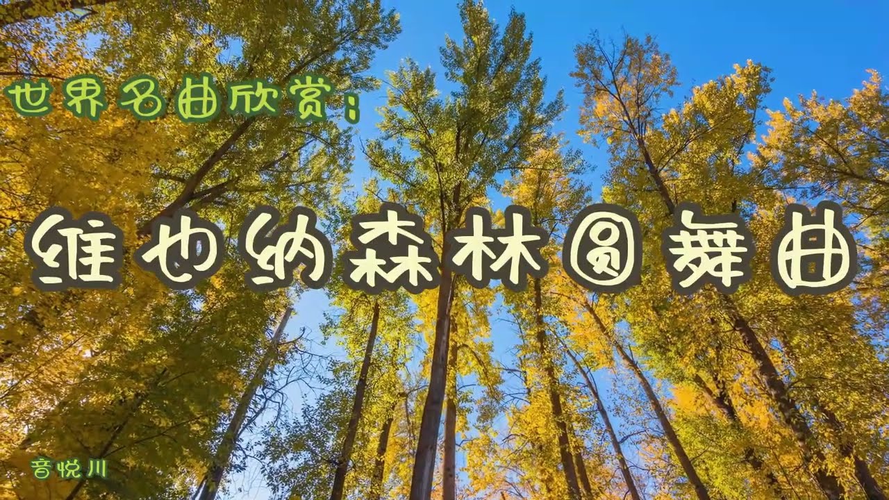 维也纳森林圆舞曲。世界名曲欣赏