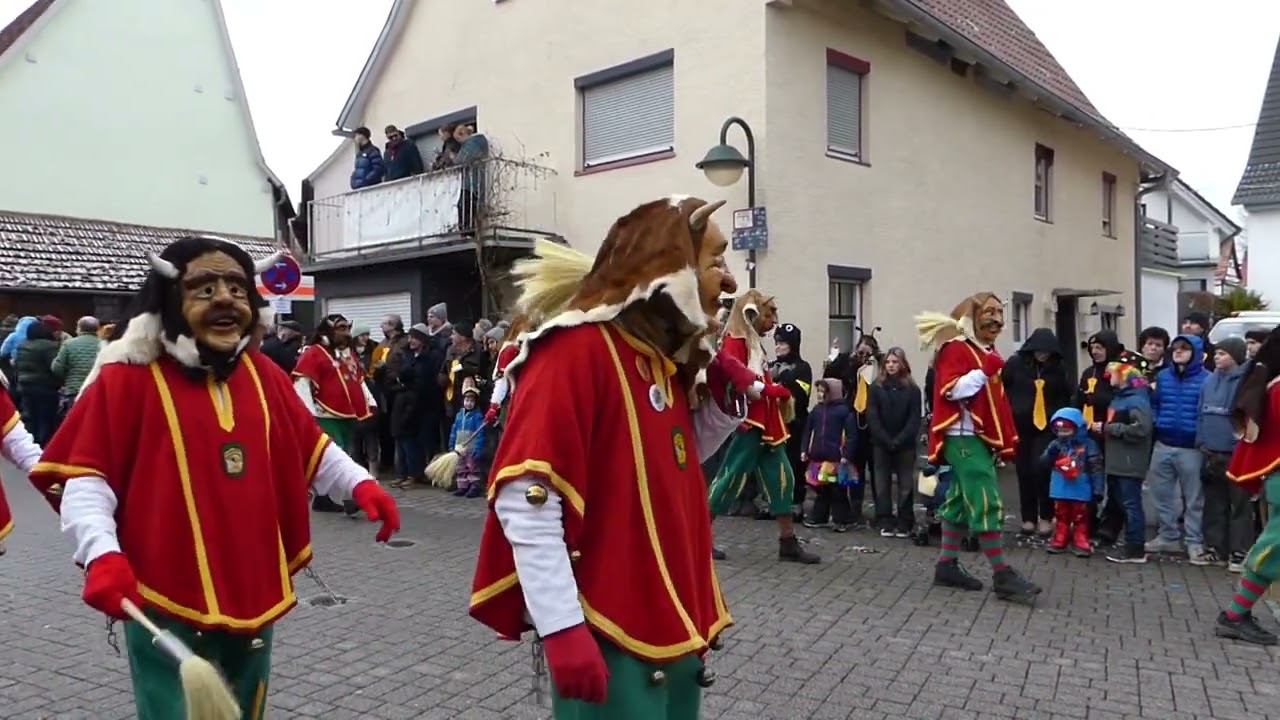 Tiermaskenumzug 12.01.2025 in Boll